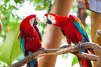 《NBA 2K23》次世代版「篮球之城」：在名宿地标中驰骋球场 